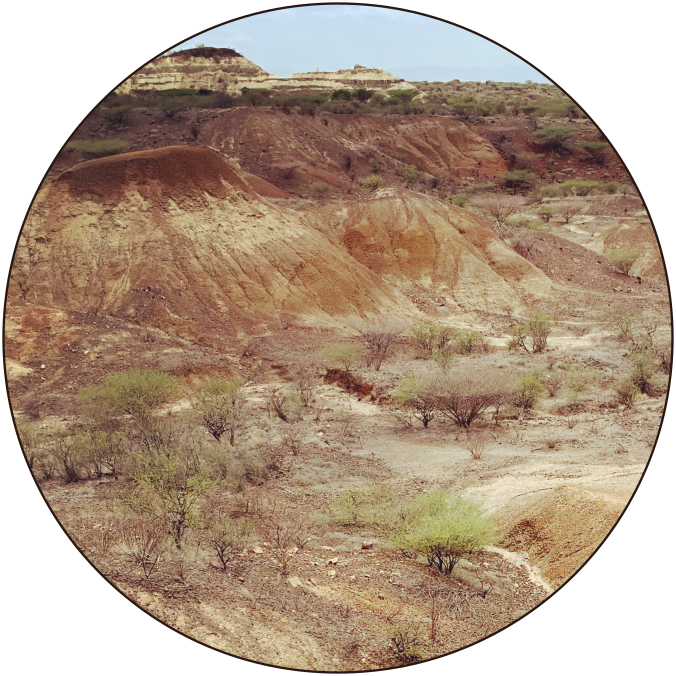 a landscape photo from the Turkana Basin showing red paleosol units on sandstone hills